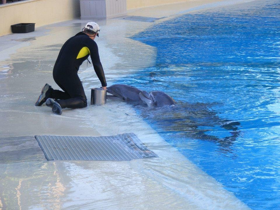 Bryane Friend's album, Las Vegas 2012
