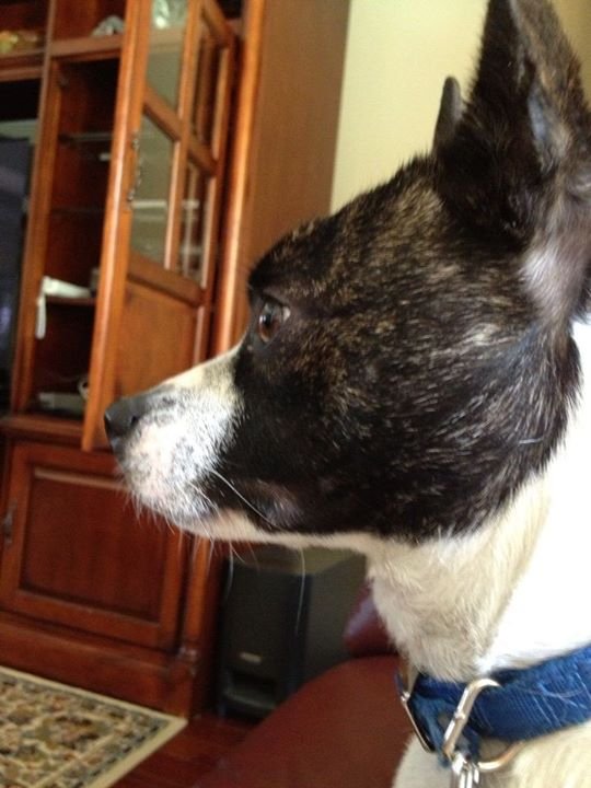 Nancy Mapes' album, iOS Photos