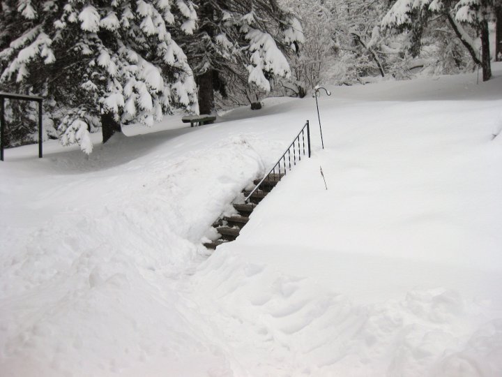 Wanda Smith's album, SNOW Feb. 2010