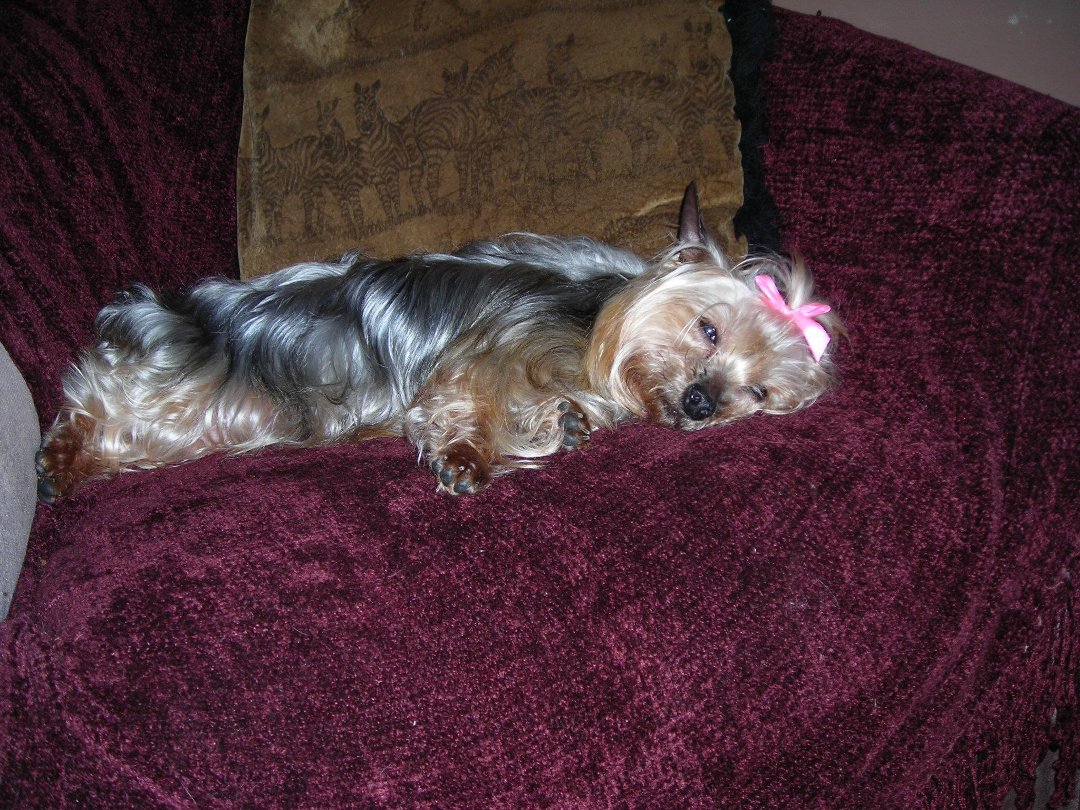 Connie Countryman's album, Sophie's 1st day home