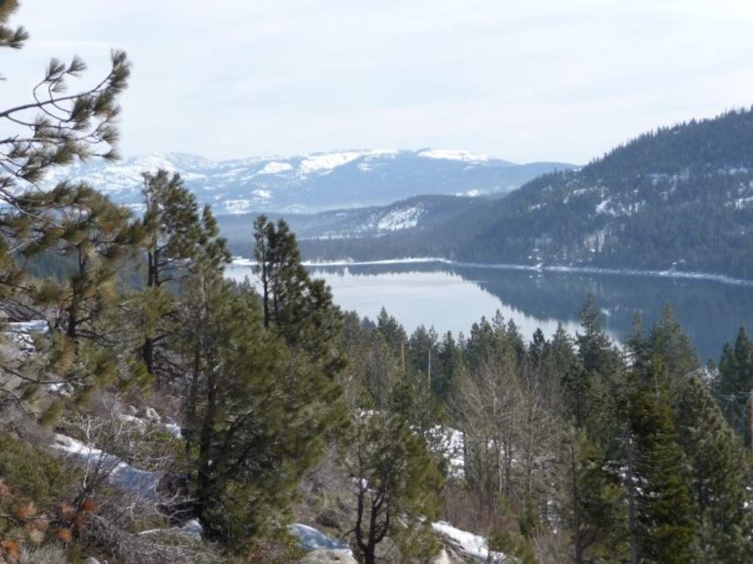 Robert Tepner's album, Feb 2010