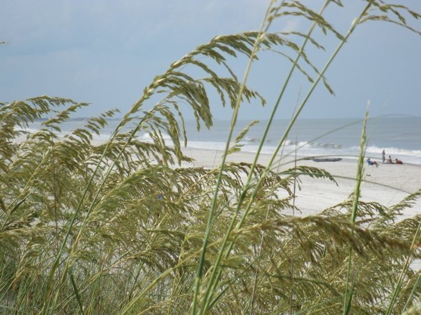 Janet Cauble's album, A Day at the Beach!