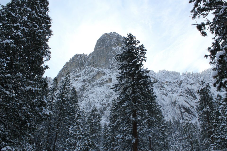 Michael Grider's album, Untitled Album