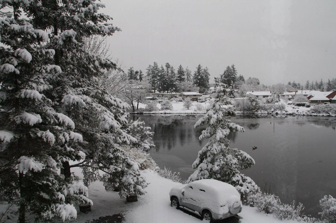Irene Simons' album, spring in victoria