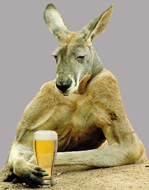 Jeremy Wall's album, Profile Pictures