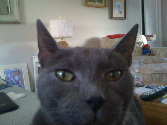 Sarah Clark's album, Timeline Photos