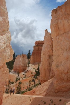 Michael Fingerle's album, West Trip 2010