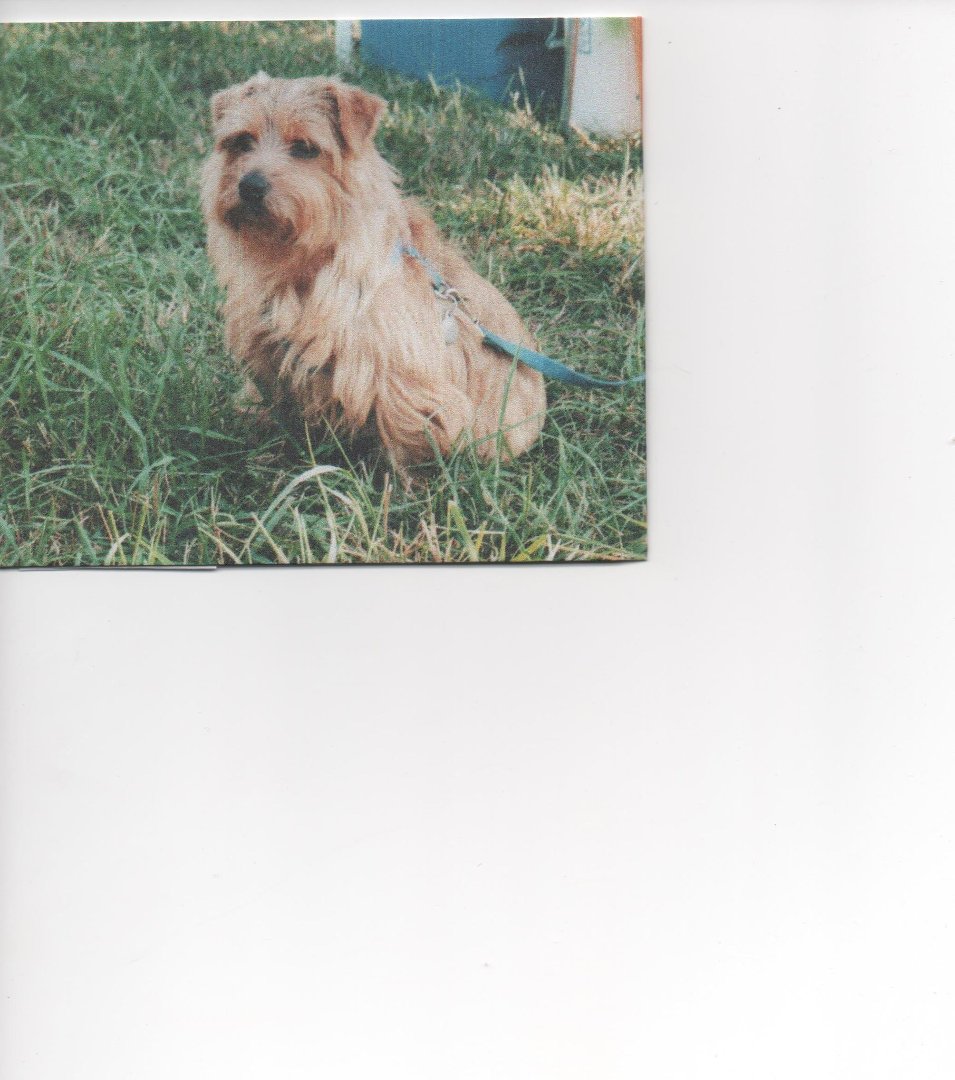 Randy Trentham's album, Profile Pictures