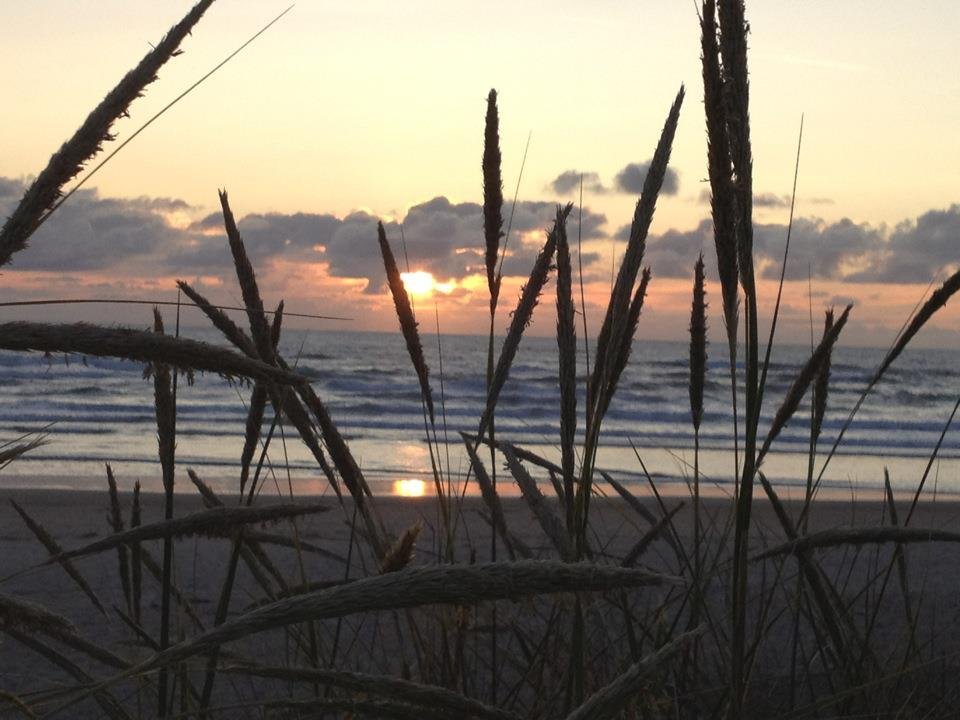 Lisa Fuller's album, Cover Photos