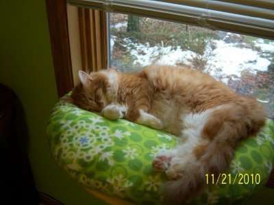Lisa Marcellus' album, sewing day