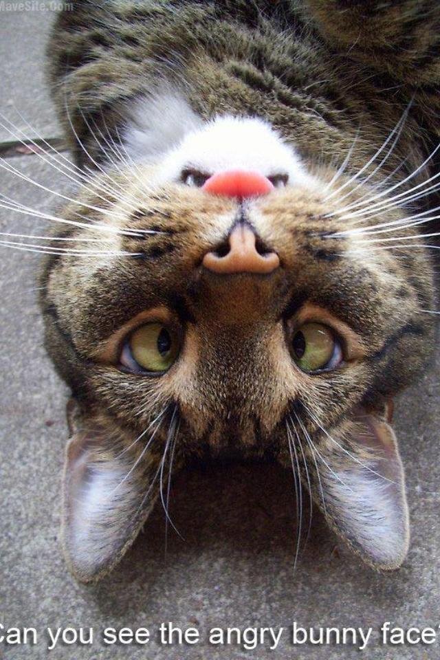 Thomas Smith's album, Timeline Photos