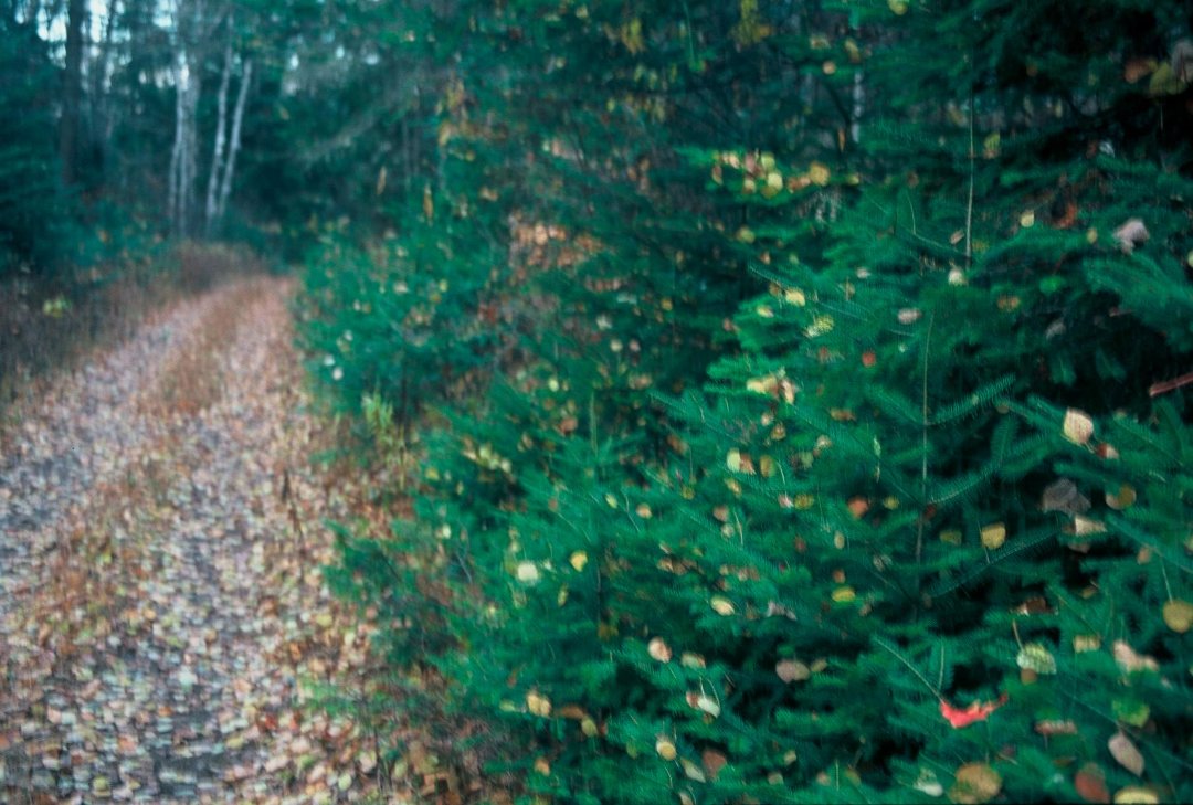 Lance Tripoli's album, 2003-2004 Minnesota adventures