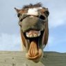 Jack Kavanagh's album, Profile Pictures