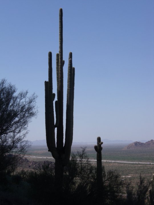 Robert Stevens' album, Picacho_Peak Hike