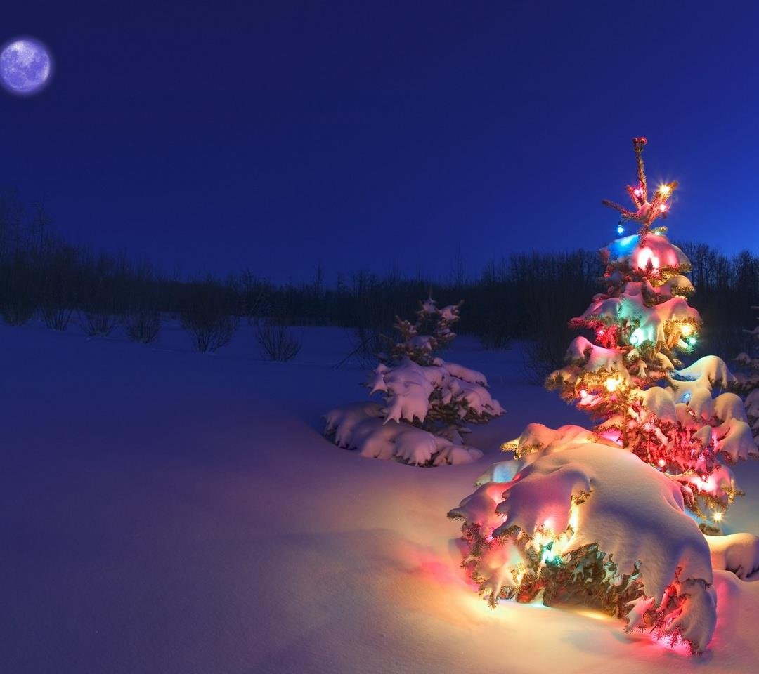 Cheryl Hainkel's album, Timeline Photos