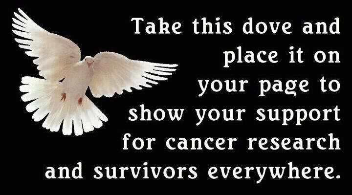 Barbra Bateman's album, Timeline Photos