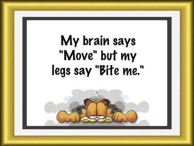 Wayne Nerger's album, Timeline Photos
