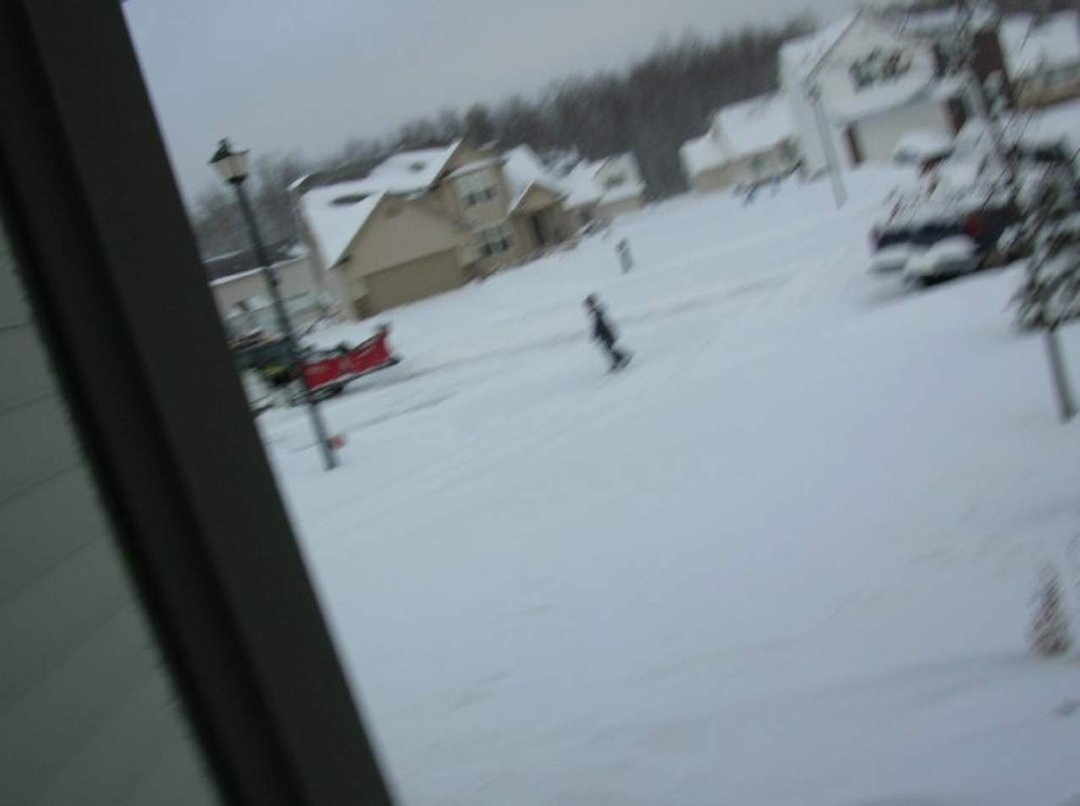Bob Wilson's album, snow days