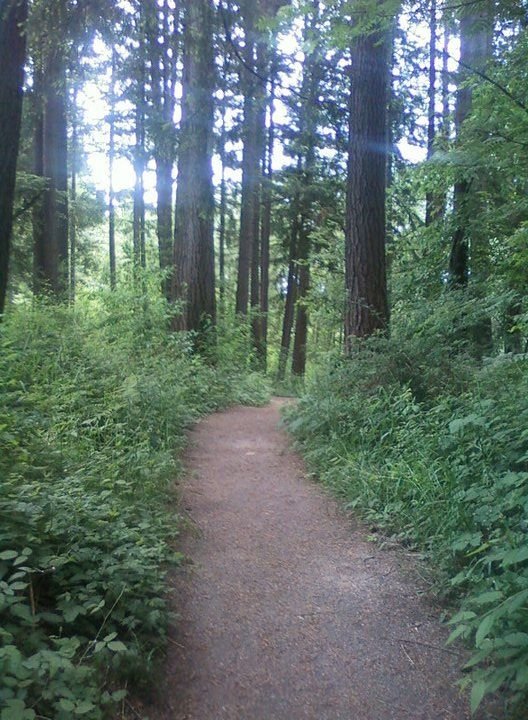 Dwayne Ewy's album, Park Trip June 17, 2011