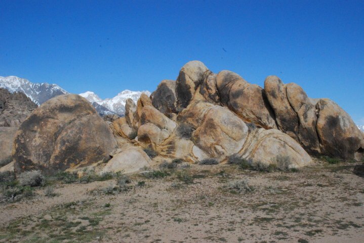 Robert Todd's album, lone Pine