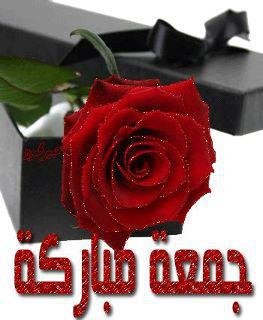 Rawan Halawi's album, Timeline Photos