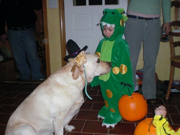 Tim Falso's album, Halloweenish