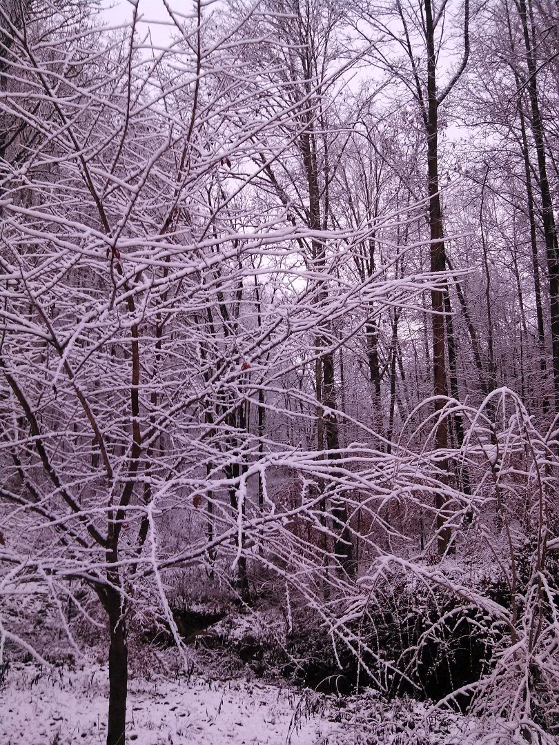 Kathy Wertz's album, Mobile Uploads