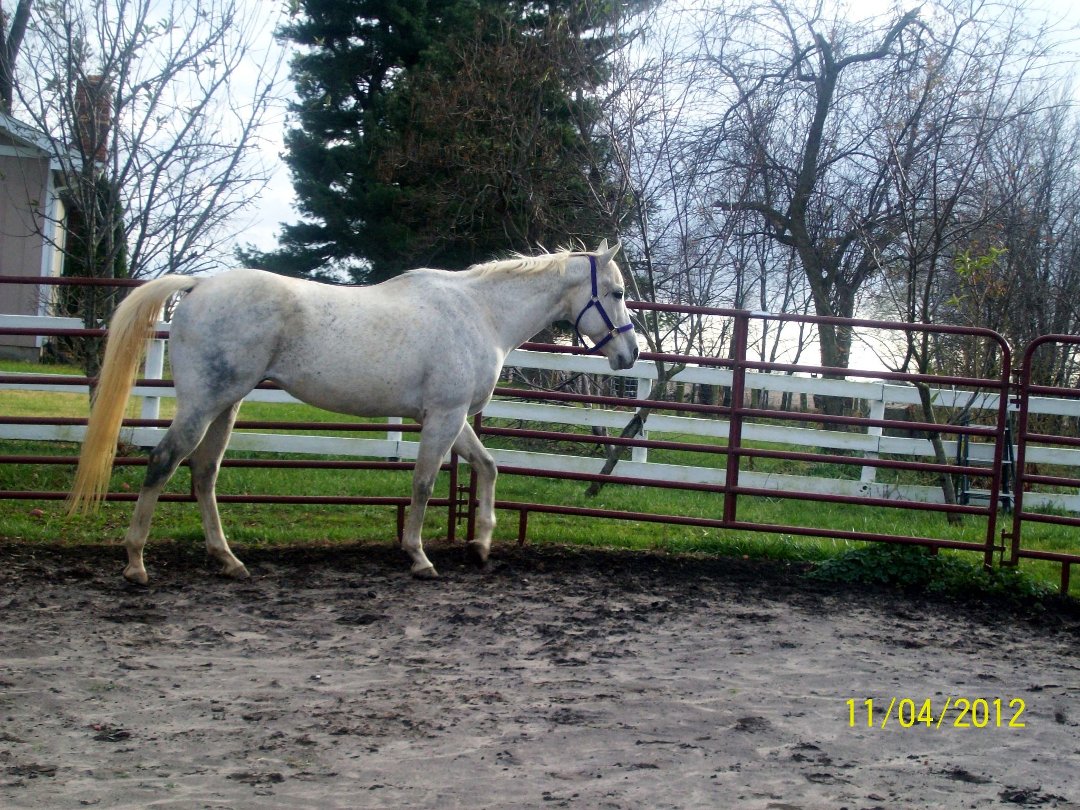 Lynne Edwards' album, Cover Photos