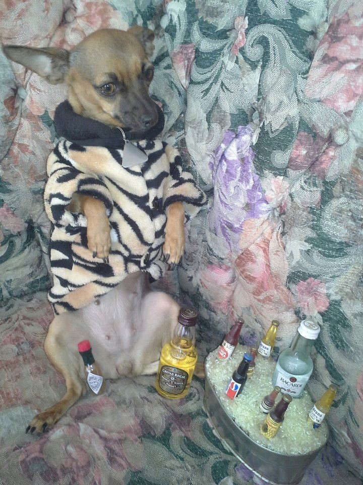 John (Jeffie) Neeley's album, Dogs
