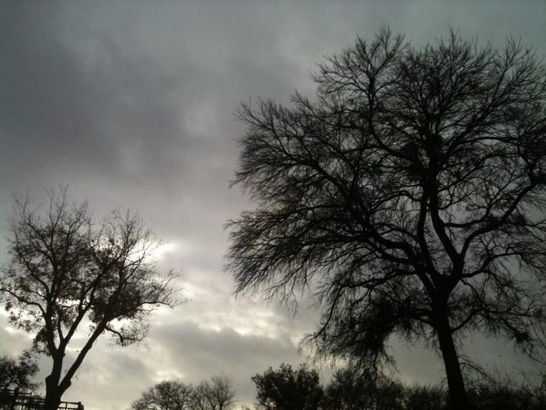 Patty Kennedy's album, Cover Photos