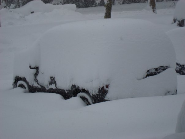 Donald Swan's album, Snow_Feb_2010