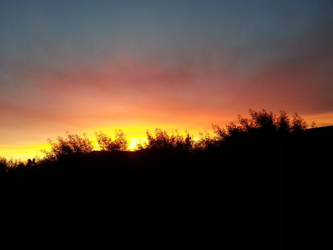 Fred Gomez's album, Mobile Uploads