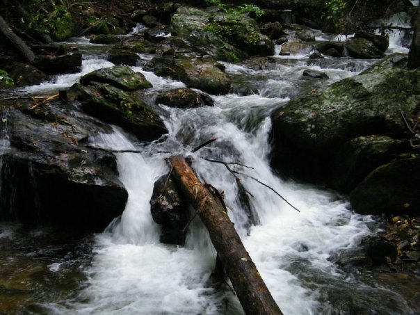 Rosemarie Hendricks' album, Helen, Ga