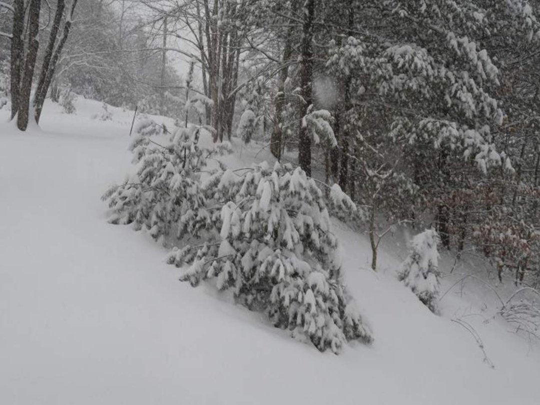 Jimmie Sowder's album, snow