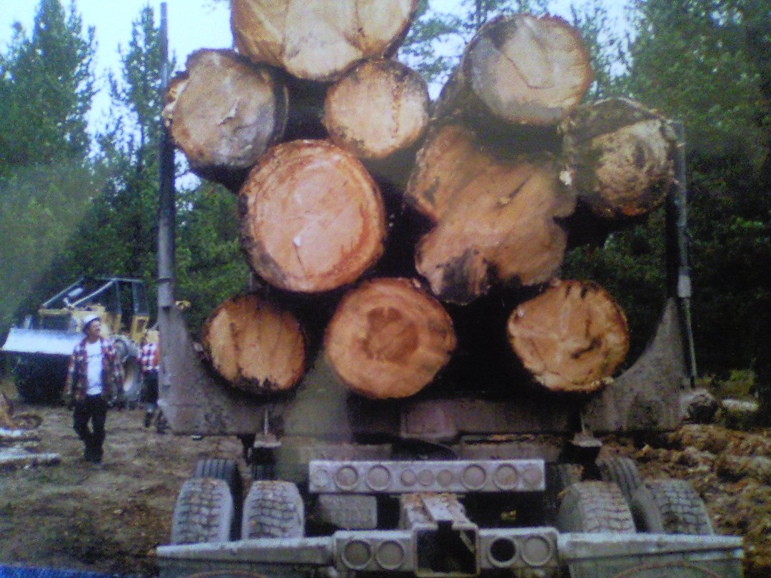 David Reed's album, truck pictures