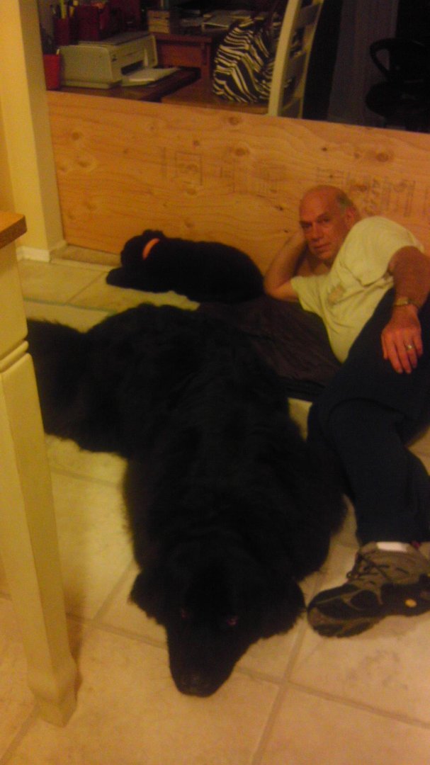 Wayne Newman's album, Mobile Uploads