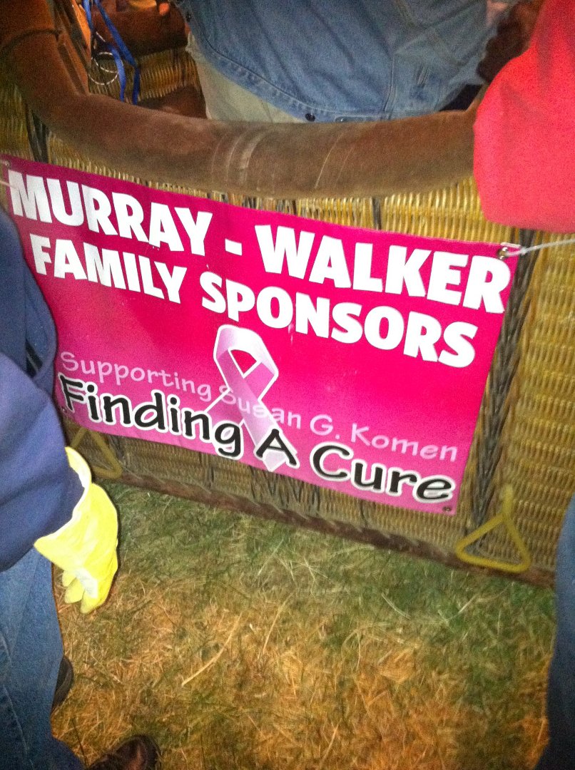 Terri Murray's album, Mobile Uploads