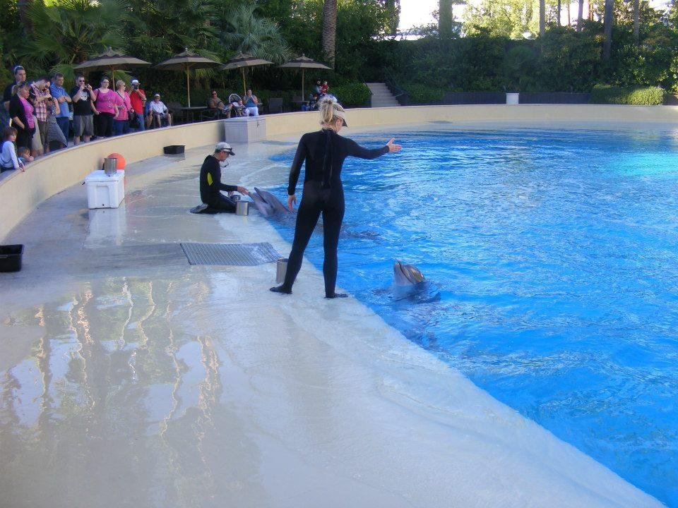 Bryane Friend's album, Las Vegas 2012