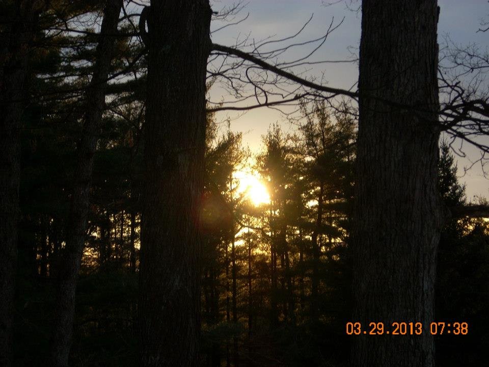 Lorrie Copenhaver's album, Easter 2013