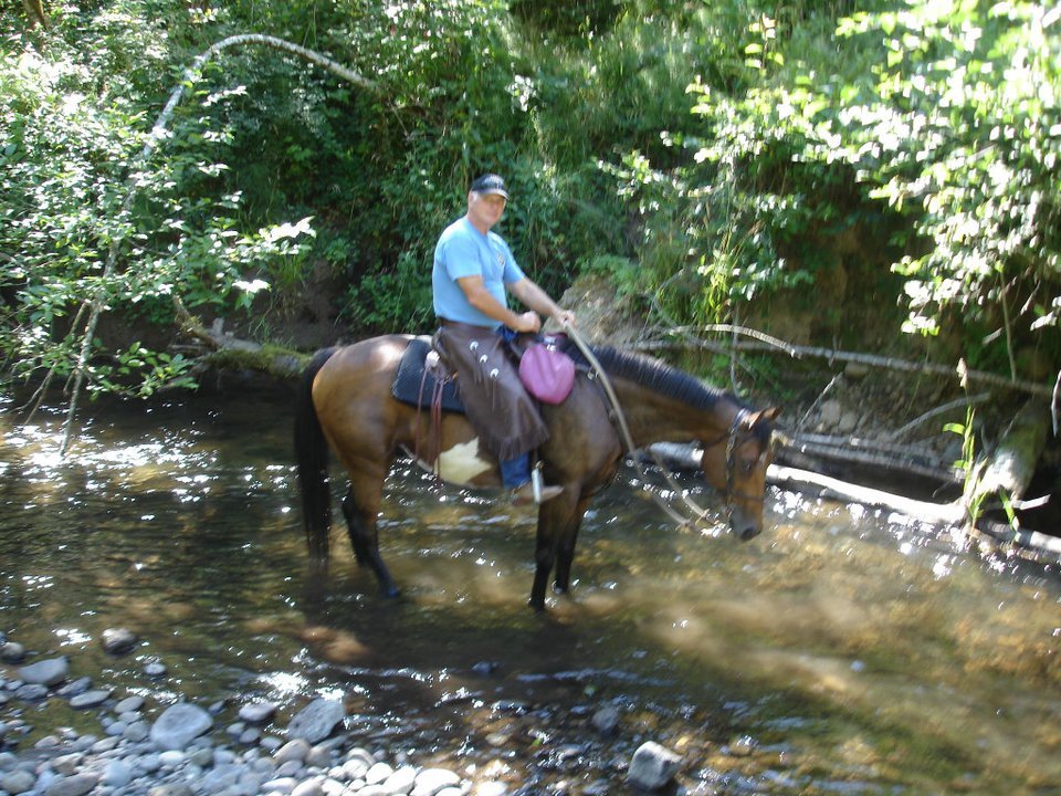Carla Swearingen's album, August 2011 Horses