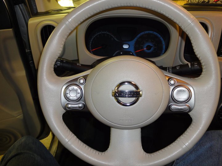 Larry Stevenson's album, My Nissan Cube gets dressed in Leather.