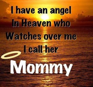 Constance Derosier's album, Timeline Photos