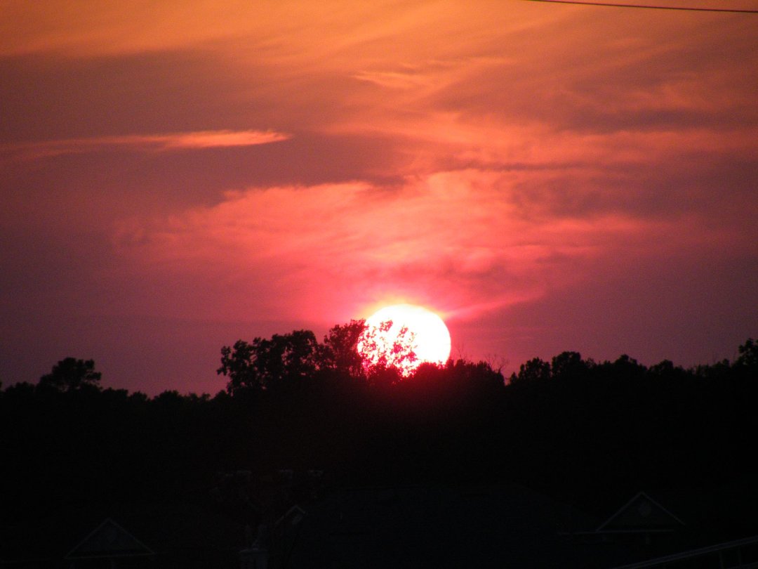 Joyce Davis' album, Cover Photos