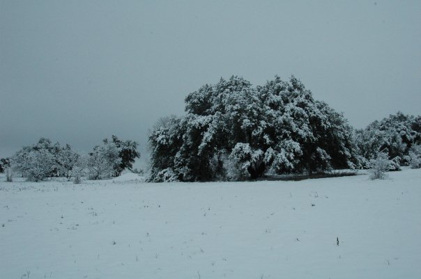 Jane Adams' album, Snowy Day 1-11-10