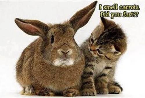 Mark Norgaard's album, Timeline Photos