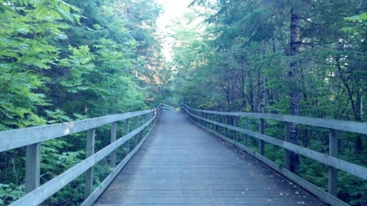 Mark Anderson's album, Cover Photos