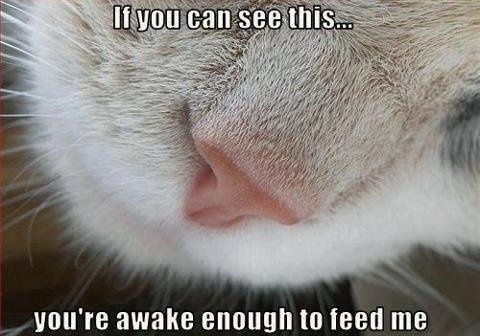 Stan Budz's album, Timeline Photos