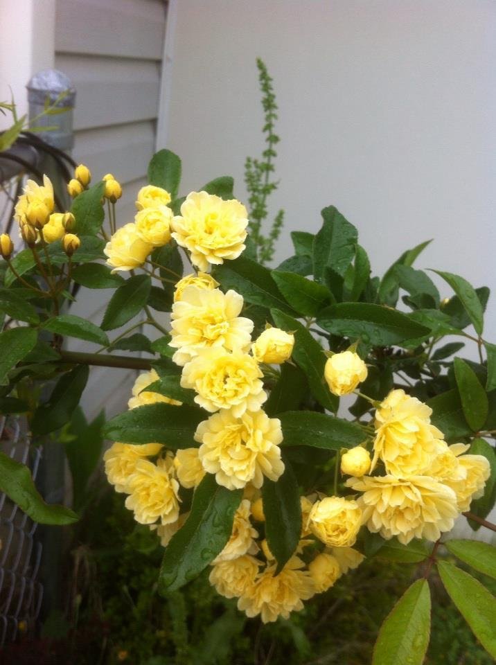 Debbie Bloodworth's album, iOS Photos