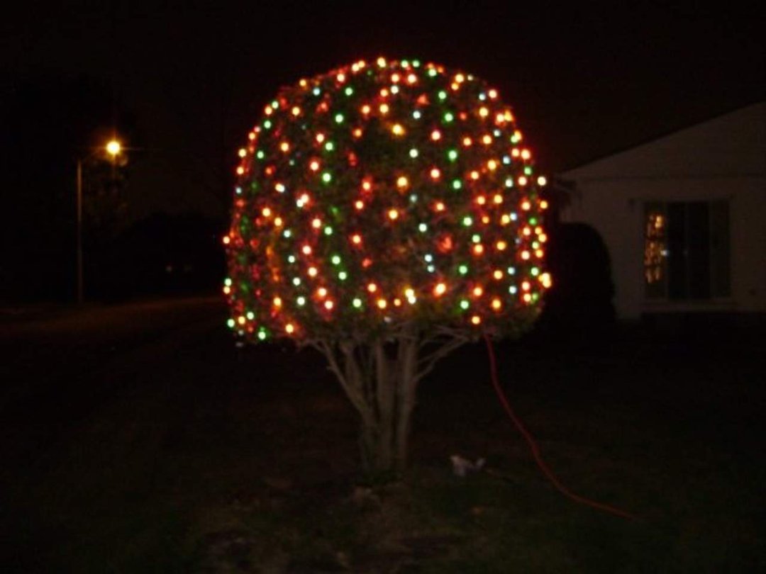 Erik Goold's album, christmas 2008