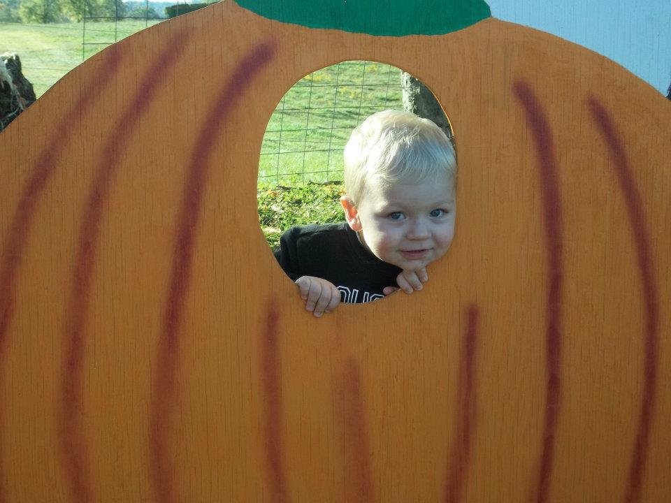 Barbara Sisk's album, Pumpkin Hill